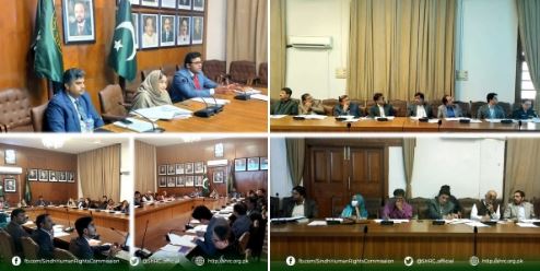 Chairperson (SHRC) co-chaired Ninth Treaty Implementation Cell Meeting