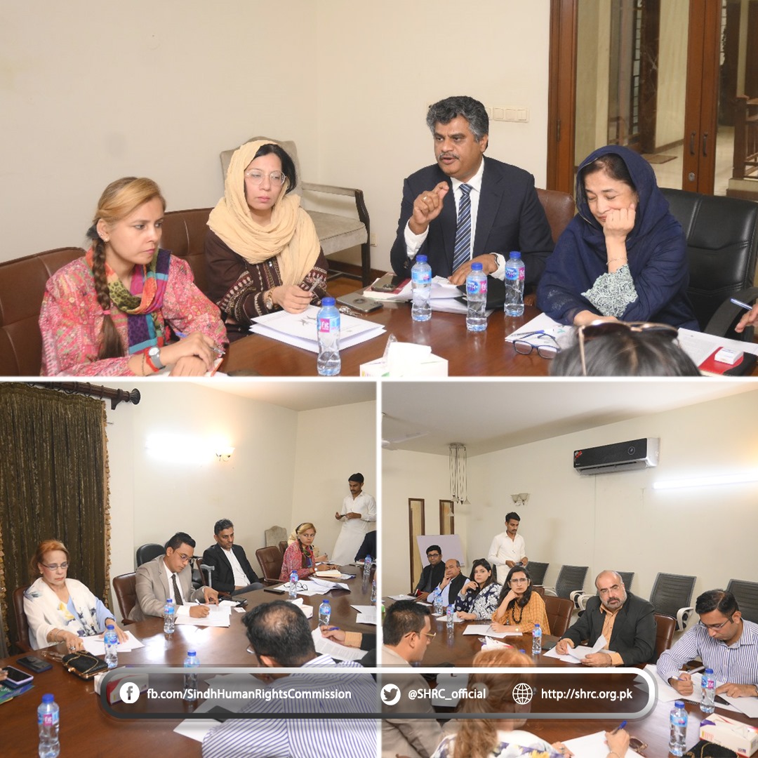 Chairperson (SHRC) Co-Chaired Human Rights Due Diligence Framework (HRDD) meeting.