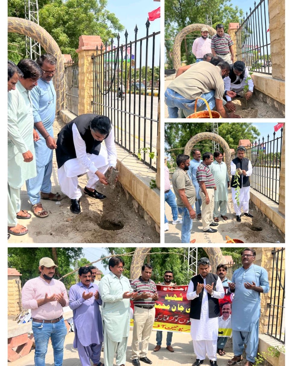 Tree Planting for Shaheed Jaan Muhammad: Chairperson of Sindh Human Rights Commission