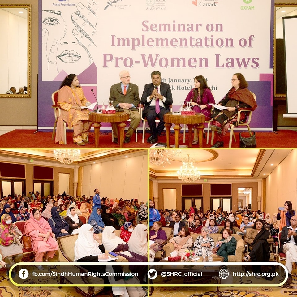 Chairperson (SHRC) attended a seminar focusing on the implementation of pro-women laws.