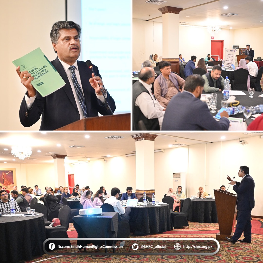 National Action Plan on Business and Human Rights Awareness Raising and Capacity Building Activity Organized by Ministry of Human Rights and UNDP Pakistan.