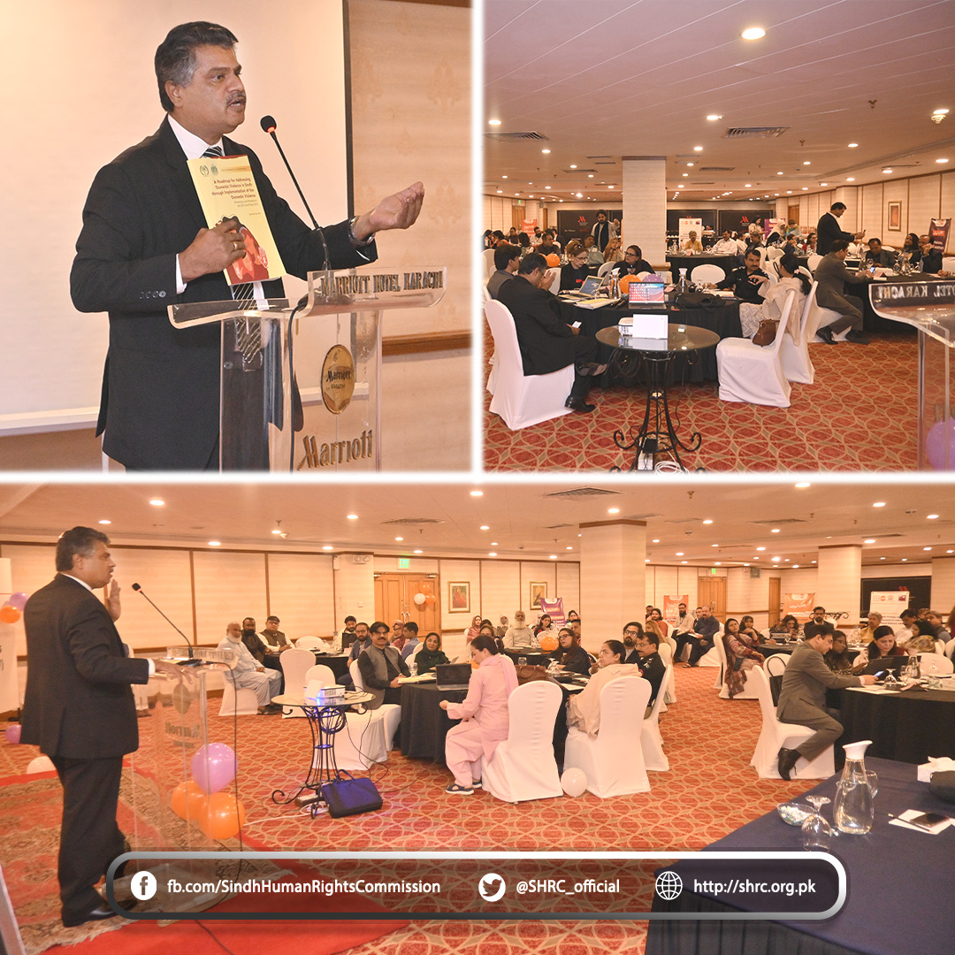 Chairperson (SHRC) atteneded the Provincial Consultation on the National Strategy for Male Involvement in Addressing Gender-Based Violence (GBV)