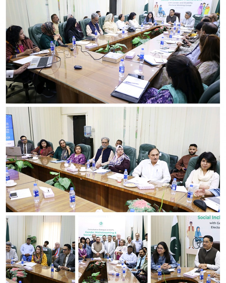 Member Judicial-II (SHRC) Consultation Meeting on Gender Mainstreaming and the Social Inclusion Framework