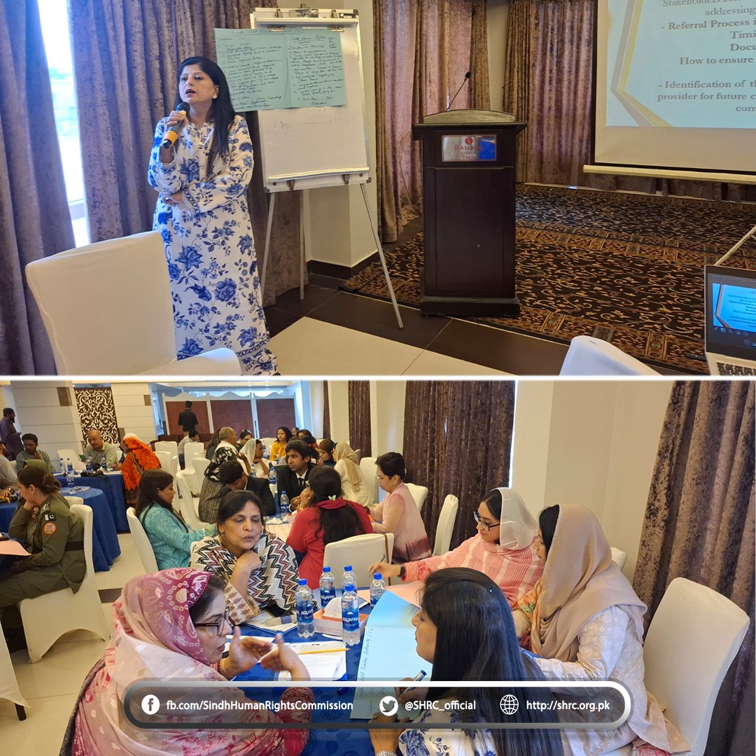 SHRC Shares Insights at Stakeholders Consultation on GBV, SEA, and Sexual Harassment Risks