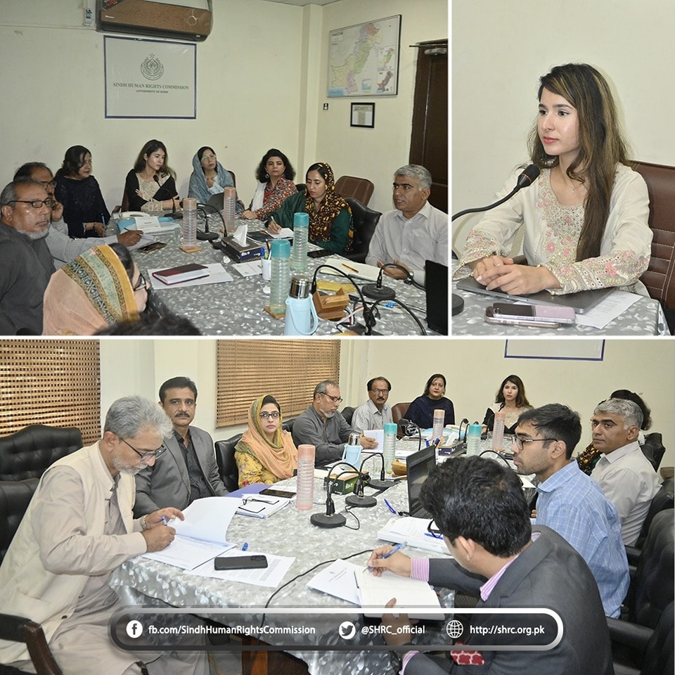Consultation on Mapping Human Rights Institutional Structures in Sindh.
