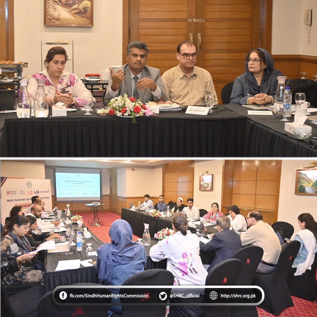 Mr. Iqbal Ahmed Detho Joins TWG-II Meeting on GBV Data and Coordination in Sindh